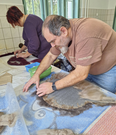 Színes fotó: szakállas, szemüveges férfi munka közben, körkörös mozdulattal sajtolja a barna-szürke nemezt egy hosszú asztalon. Háttérben egy lila pulóveres asszisztens segíti a folyamatot, az asztalon zöld műanyag tál, kékre festett szövetdarab.